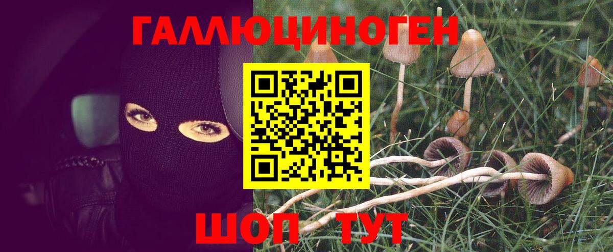 Псилоцибиновые грибы Cubensis  Вход с VPN  Псилоцибиновые грибы Magic Shrooms  Златоуст 